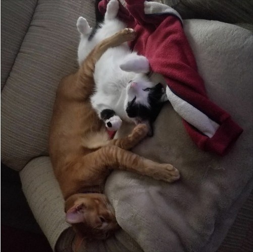 Rejuvenate the Classic Essence of Rock with Atomic Orange’s Latest Creation ‘Anywhere But Here’